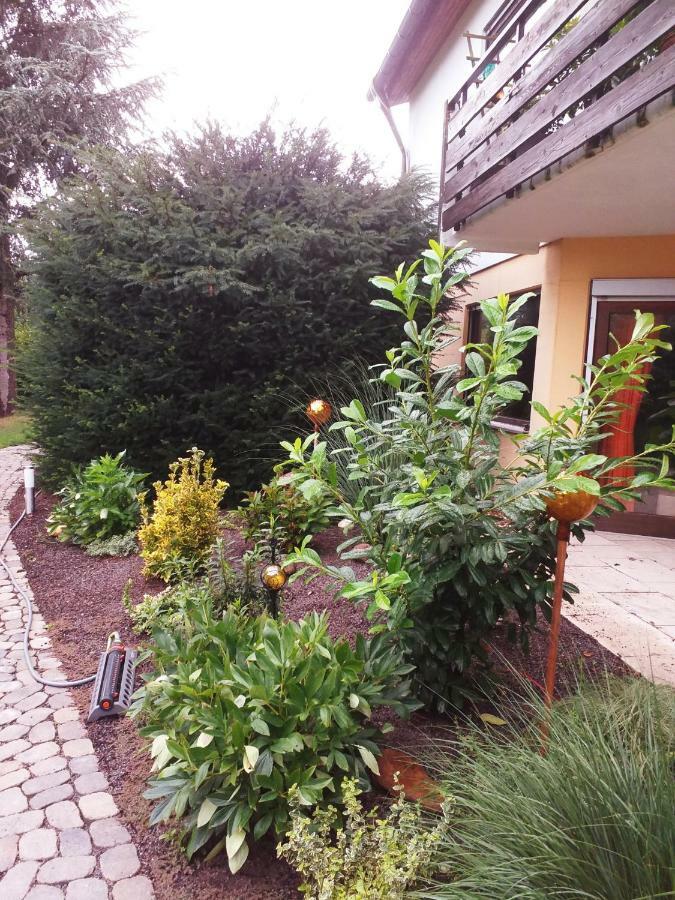 Ferienwohnung Im Rottal Oberrot Екстер'єр фото